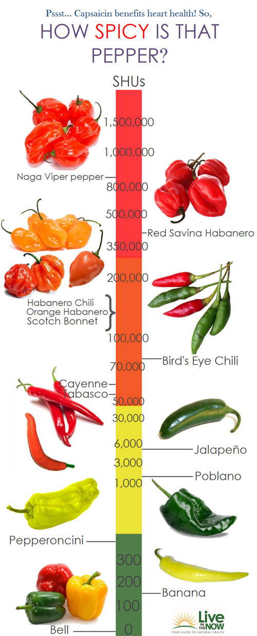 Pepper In The World Chart