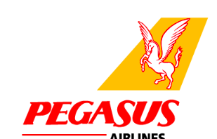 Pegasus Airlines Electronic Luggage Restrictions